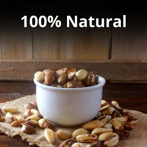 Healthy Master Brazil Nuts | Rich in Nutrition